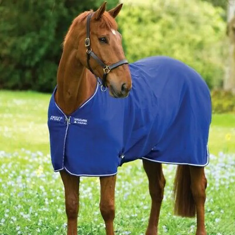 Horseware Amigo Jersey Pony Cooler - Atlantic Blue/Blue/Ivory